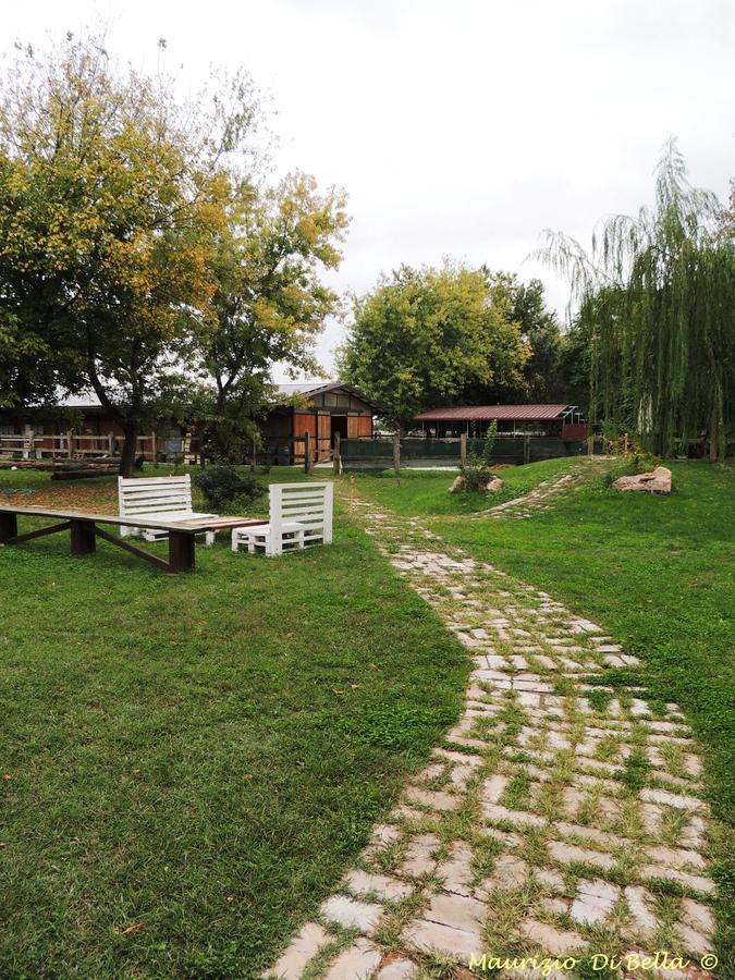 Mulino Delle Valli Cerea Exteriör bild